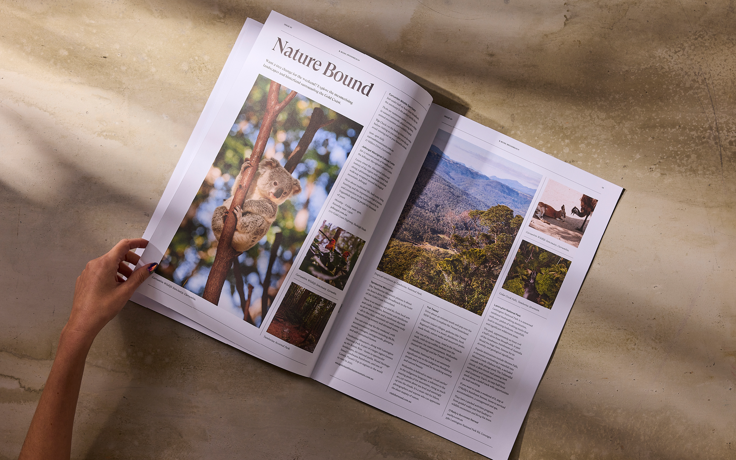 double page spread on natural attractions around the gold coast